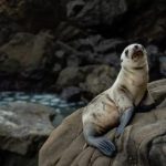 必赢娱乐带你体验前所未有的游戏乐趣与刺激 92d054