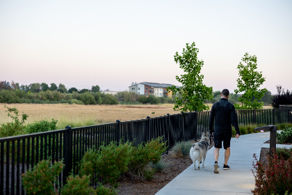 红宝石登入:如何安全高效地管理你的账户 红宝石登入:如何安全高效地管理你的账户