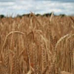 拉斯维加斯游戏官网全攻略:畅玩游戏与精彩活动的最佳选择 l3woz