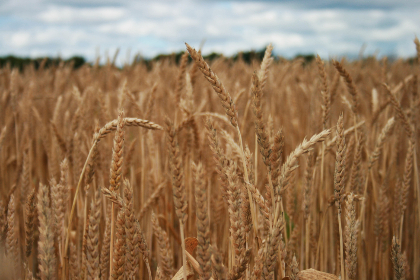 拉斯维加斯游戏官网全攻略:畅玩游戏与精彩活动的最佳选择 拉斯维加斯游戏官网全攻略:畅玩游戏与精彩活动的最佳选择