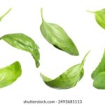 战神娱乐手机版:畅享极致游戏体验的最佳选择 xup09z0e